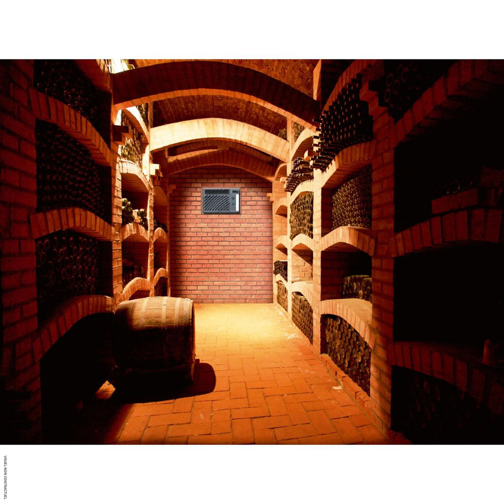 Climatiseur encastré réversible pour cave à vin Wine C50 SX - WINEMASTER