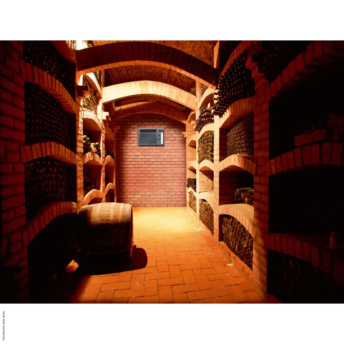 Climatiseur encastré réversible pour cave à vin Wine C50 SX - WINEMASTER